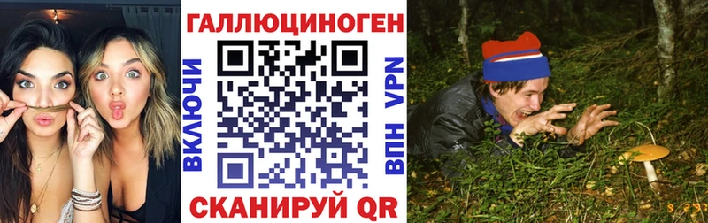 Псилоцибиновые грибы мицелий  Аксай 