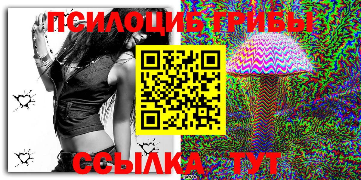 Псилоцибиновые грибы MAGIC MUSHROOMS  хочу наркоту  Аксай  Вход с VPN 